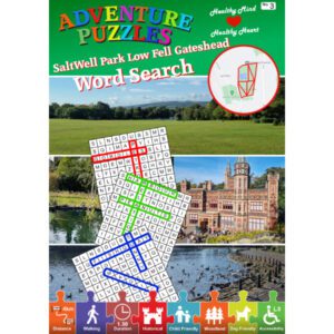 Saltwell Park Adventure Puzzle, Lowfell, Gateshead